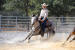 Quarter horse au cutting