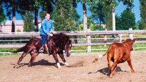 Etalon Quarter Horse FUEGO